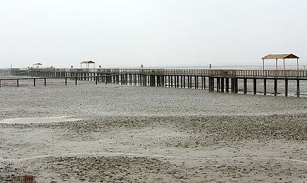 《刀剑乱舞无双》第一部队介绍演示：“蜻蛉切”